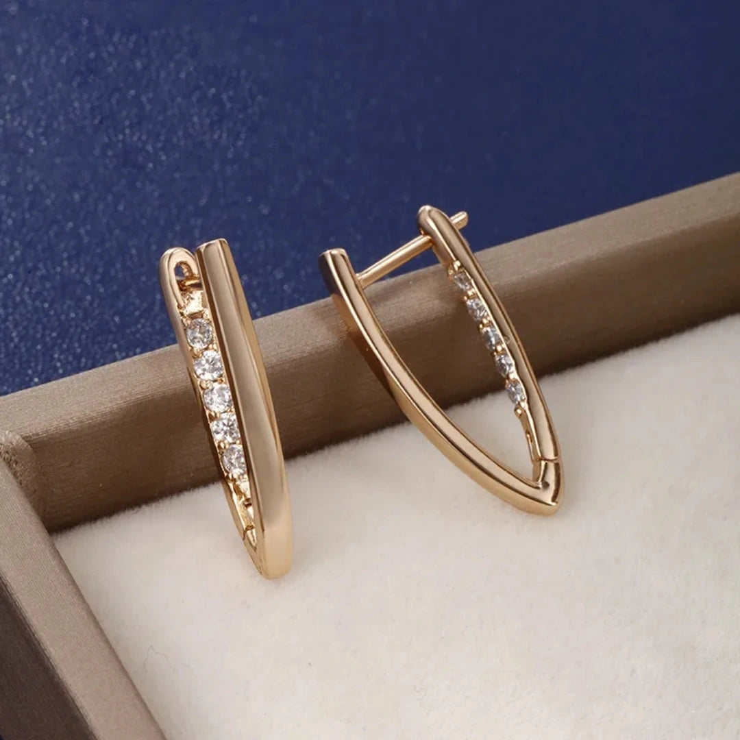 Single Row Hip Hop Hoop Earrings - 62carat
