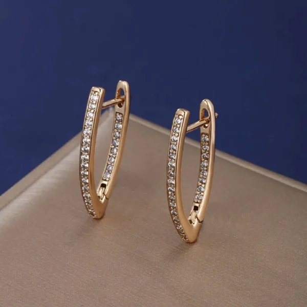 Hip Hop Hoop Earrings